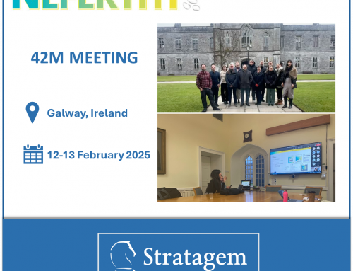 STRATAGEM at the 42M Meeting of NEFERTITI project in Galway, Ireland!